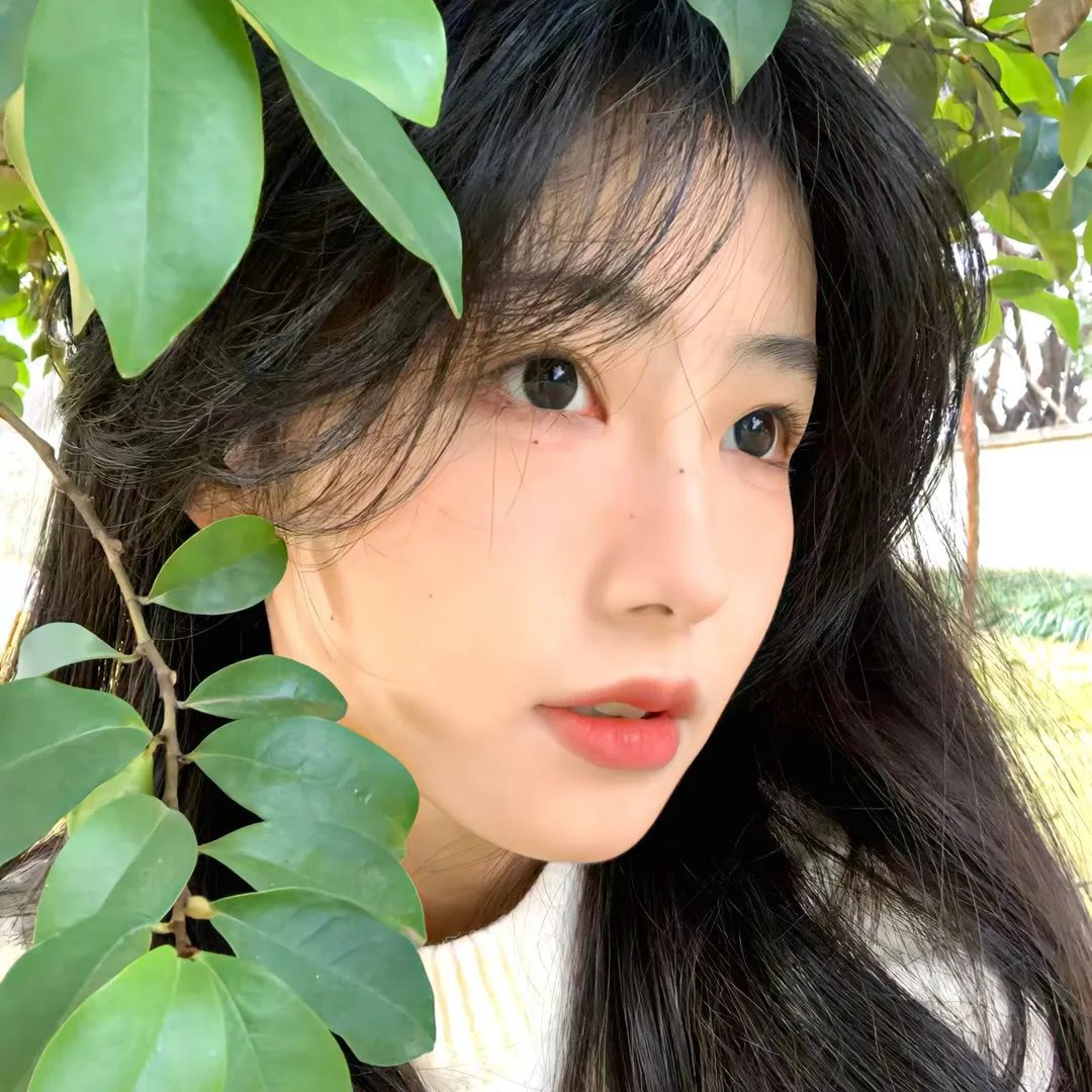 亚马逊：世上最长的河流